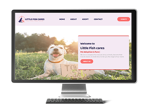 Little Fish Cares Website