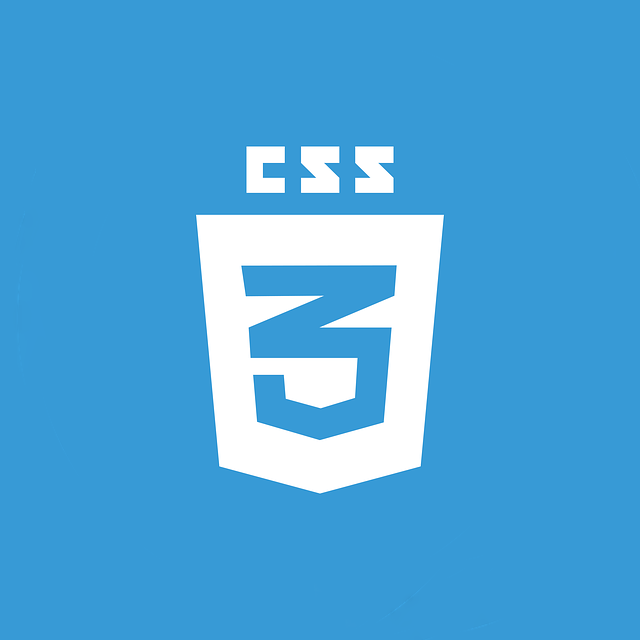 CSS Logo